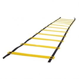 Durable Training Ladder – Black & Yellow