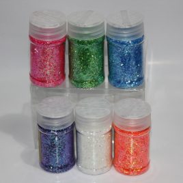 Glitter Powder 60gm 6 pcs set